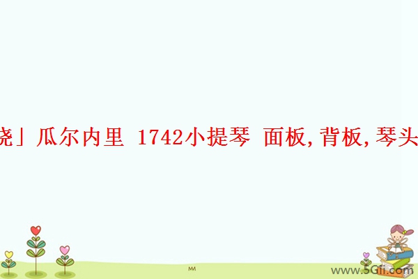 「揭晓」瓜尔内里 1742小提琴 面板,背板,琴头尺寸表